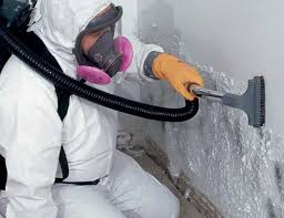 Why You Should Choose Our Mold Remediation Services in Lemay, MO